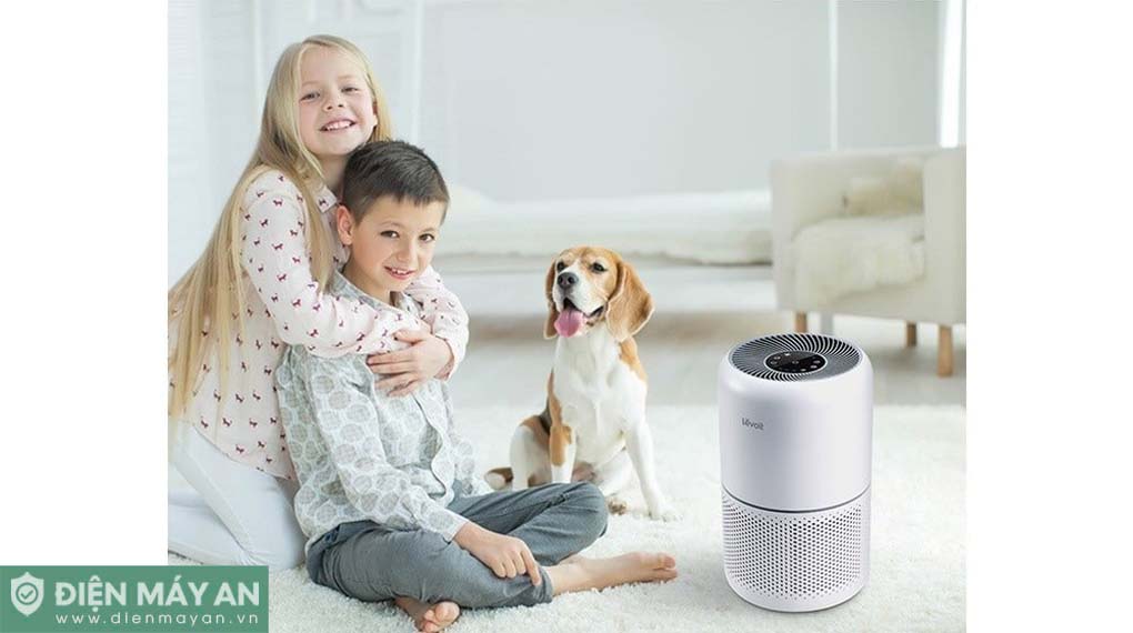 Lõi lọc diệt khuẩn cho máy lọc không khí Levoit Core 300-RF – Chính Hãng